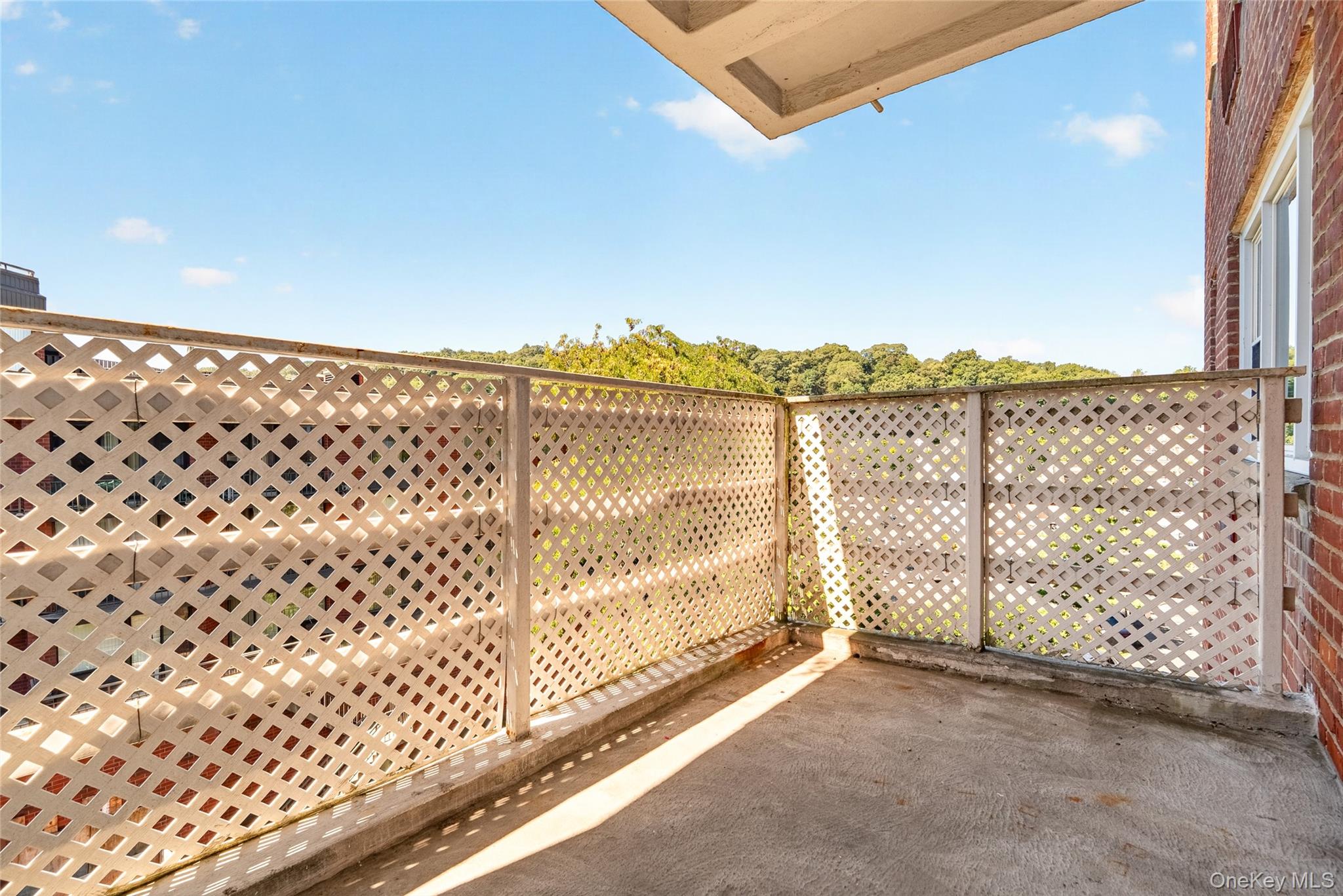 30 E Hartsdale Avenue, Unit 3L photo 27