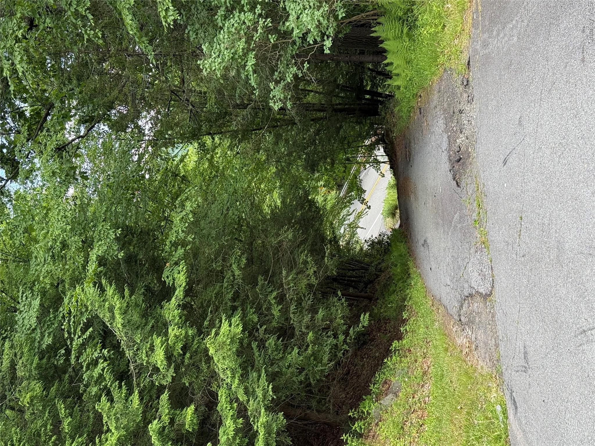 592 State Highway 97 – For Sale photo 10