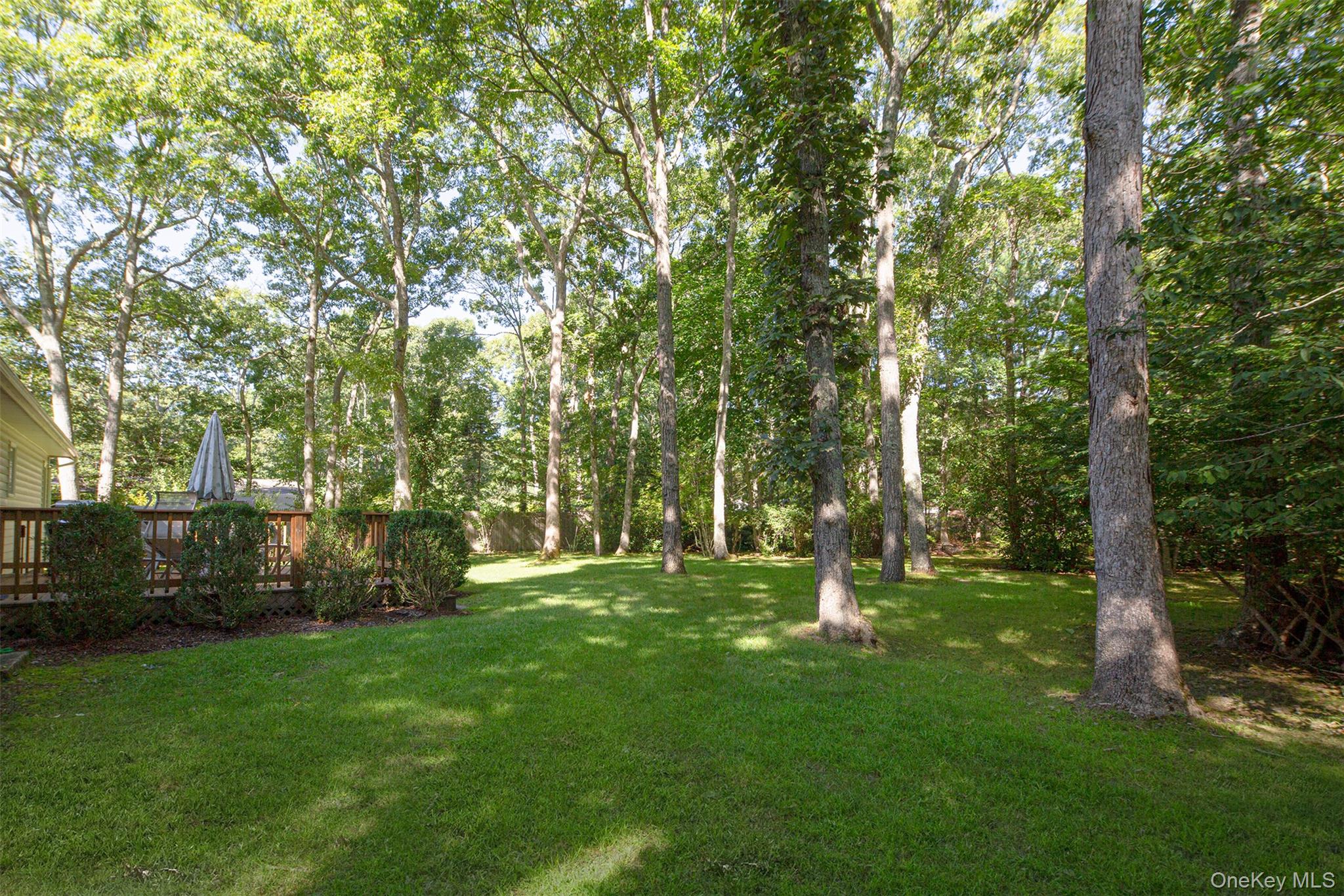 42 Squires Avenue – For Sale photo 18