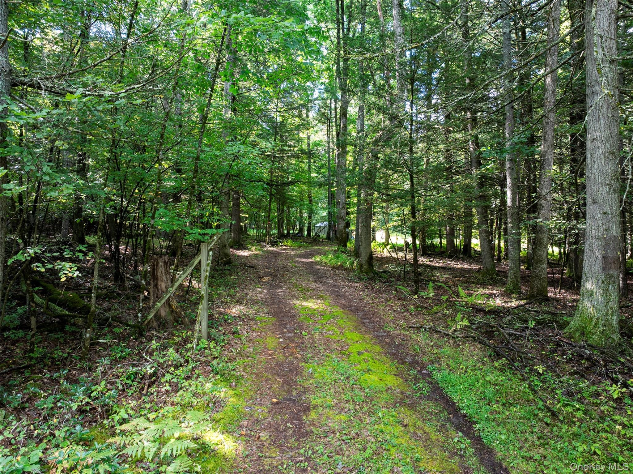 83 Perry Pond Road – For Sale photo 2