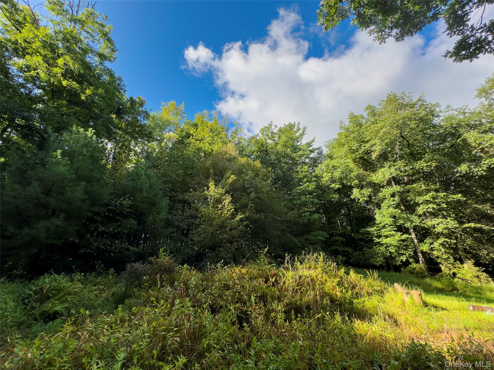 83 Perry Pond Road – For Sale photo 7