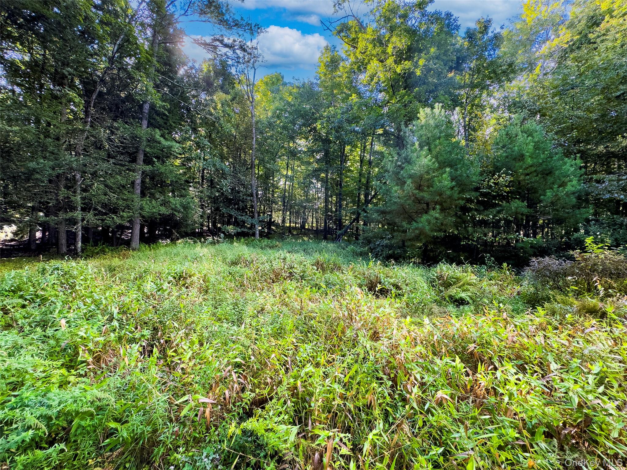83 Perry Pond Road – For Sale photo 8