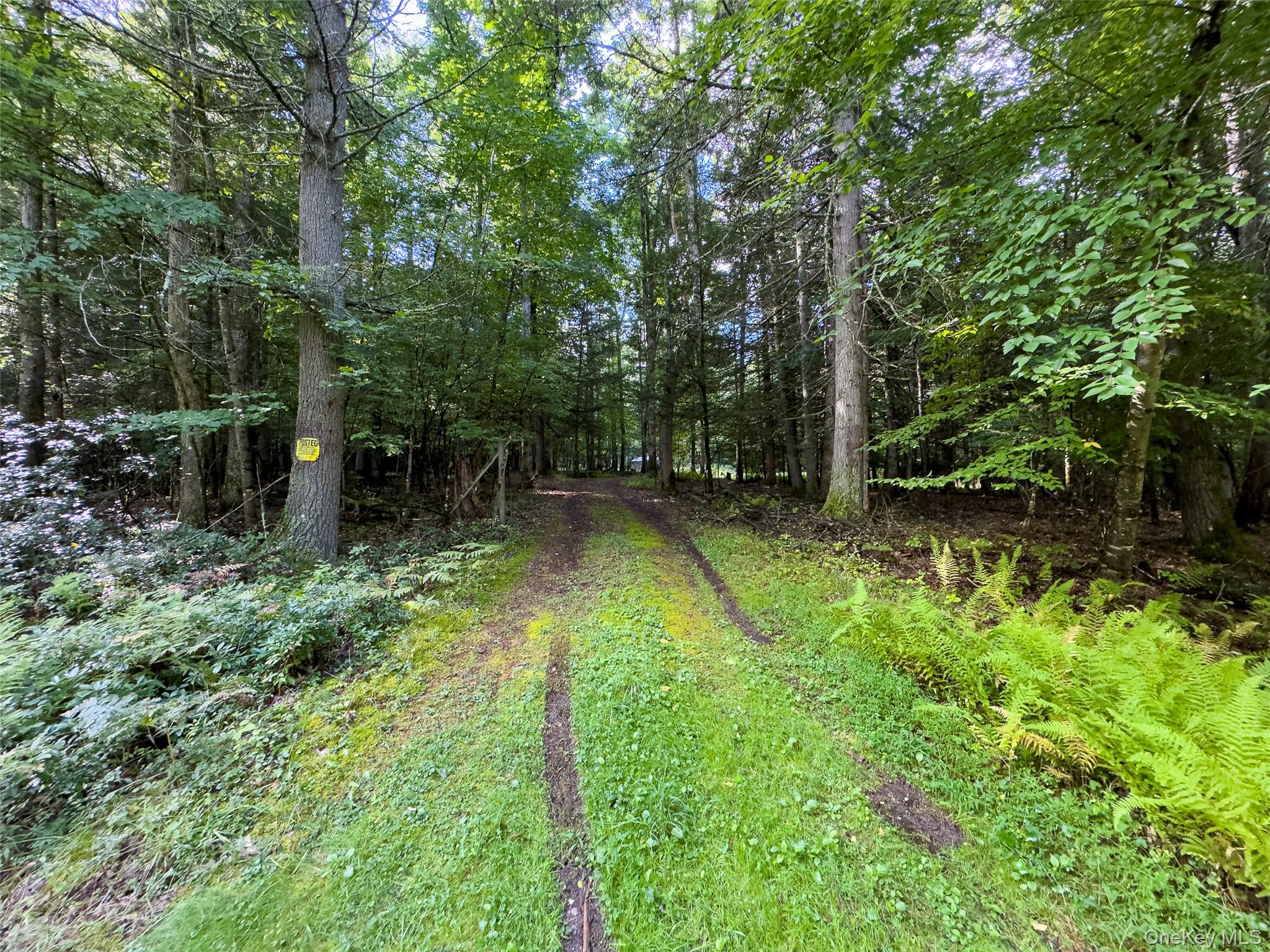 83 Perry Pond Road – For Sale photo 3