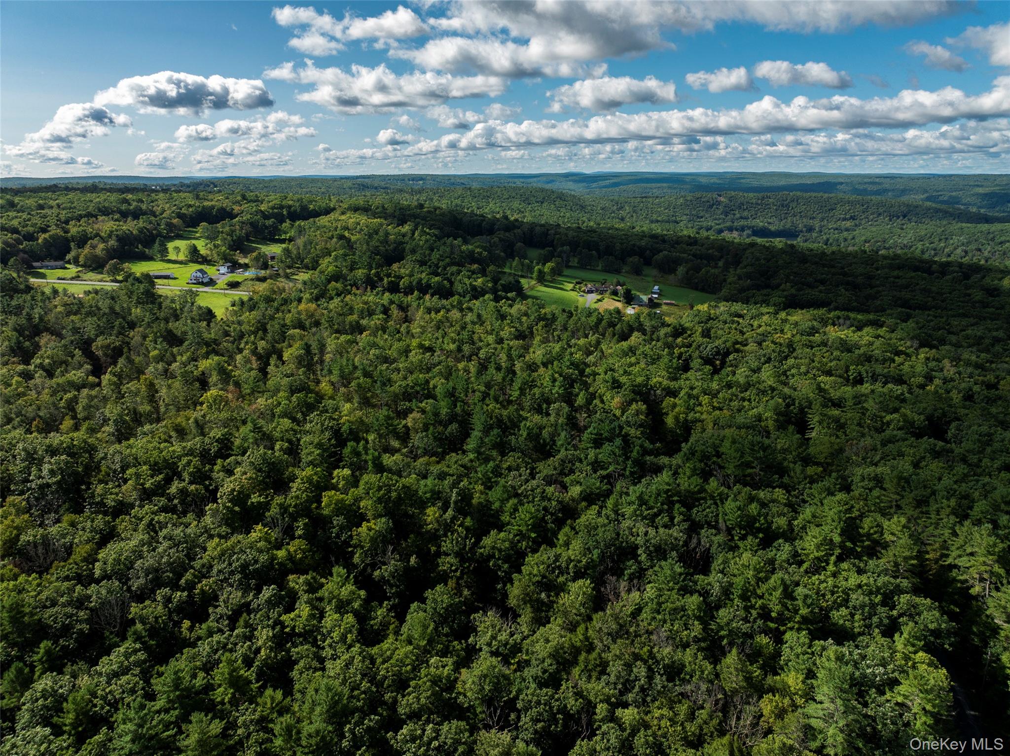 83 Perry Pond Road – For Sale photo 13