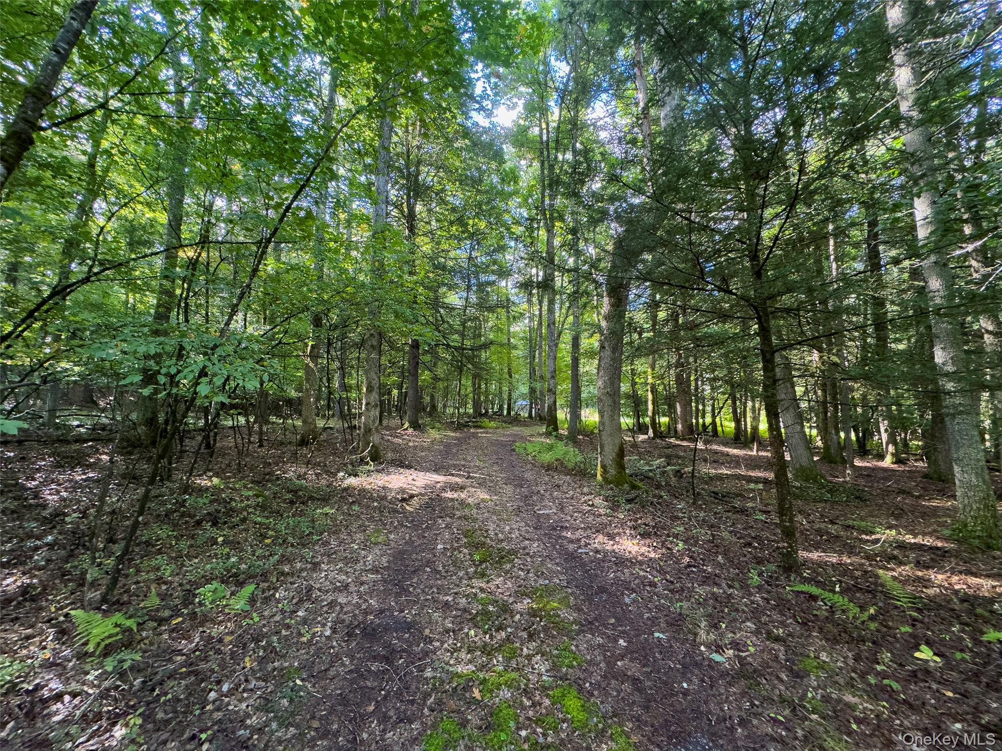 83 Perry Pond Road – For Sale photo 4