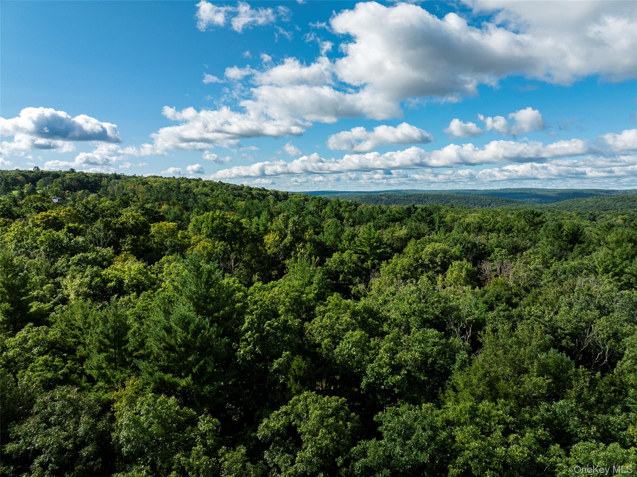 83 Perry Pond Road – For Sale photo 12