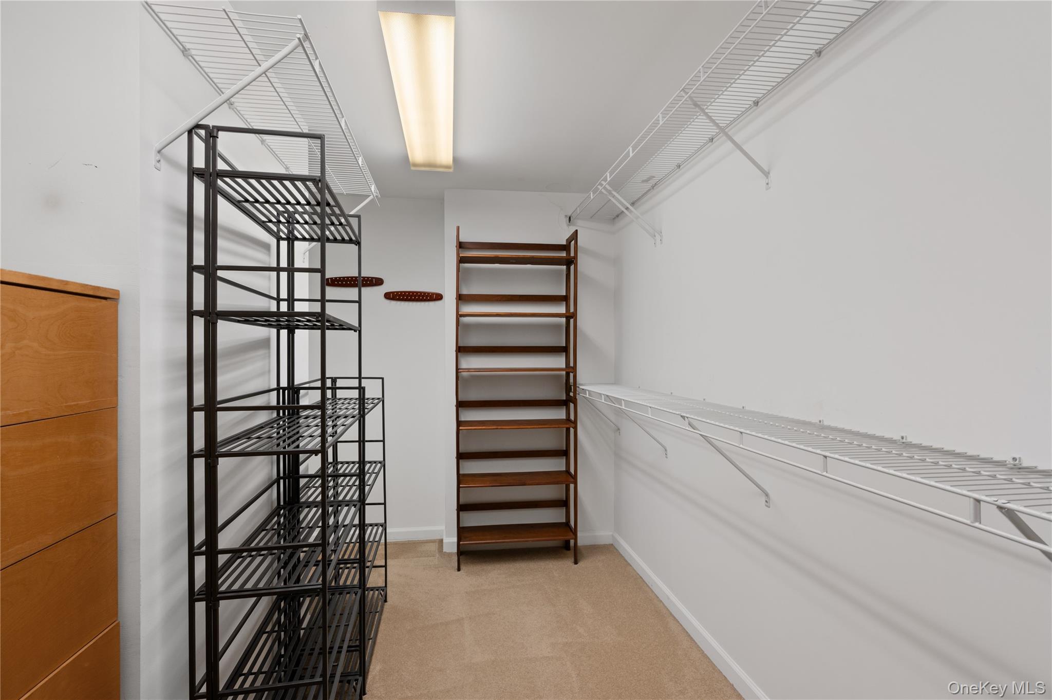 242 Maple Avenue, Unit 502 photo 13