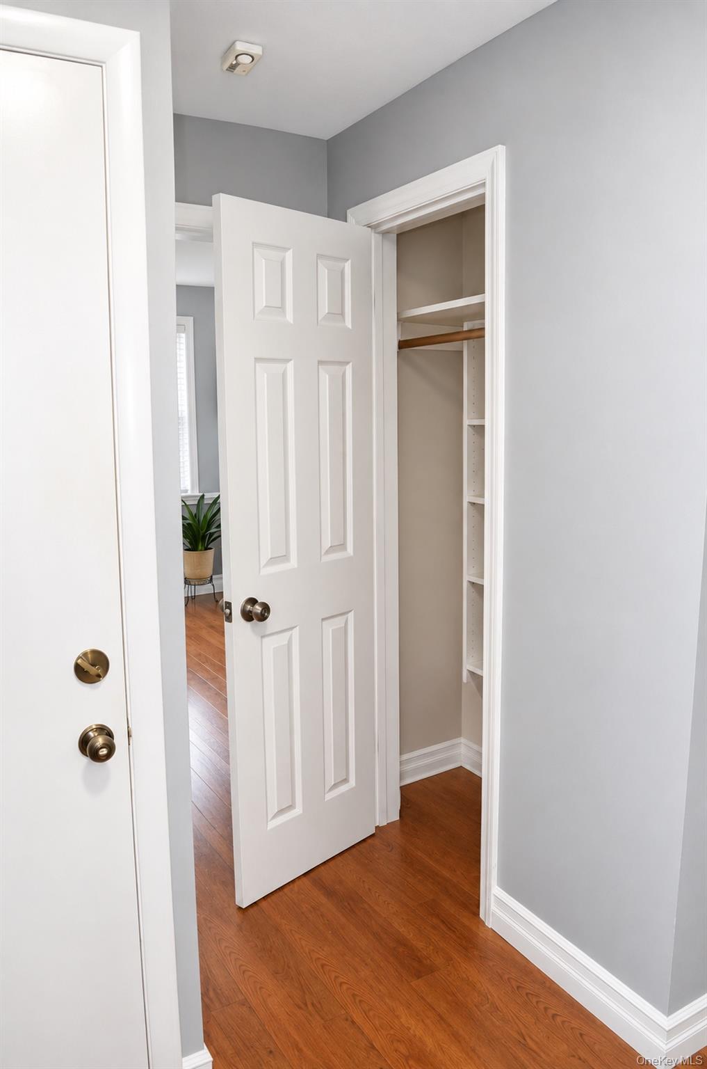 65 S Fulton Street, Unit 2 photo 8
