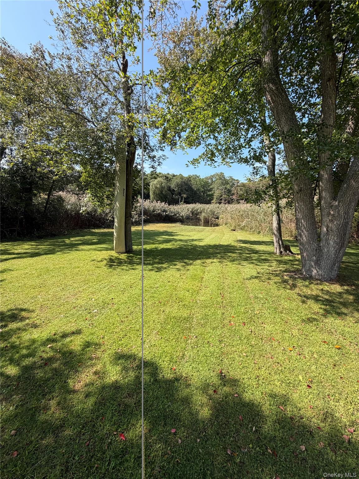 1 Beaver Street – For Sale photo 4