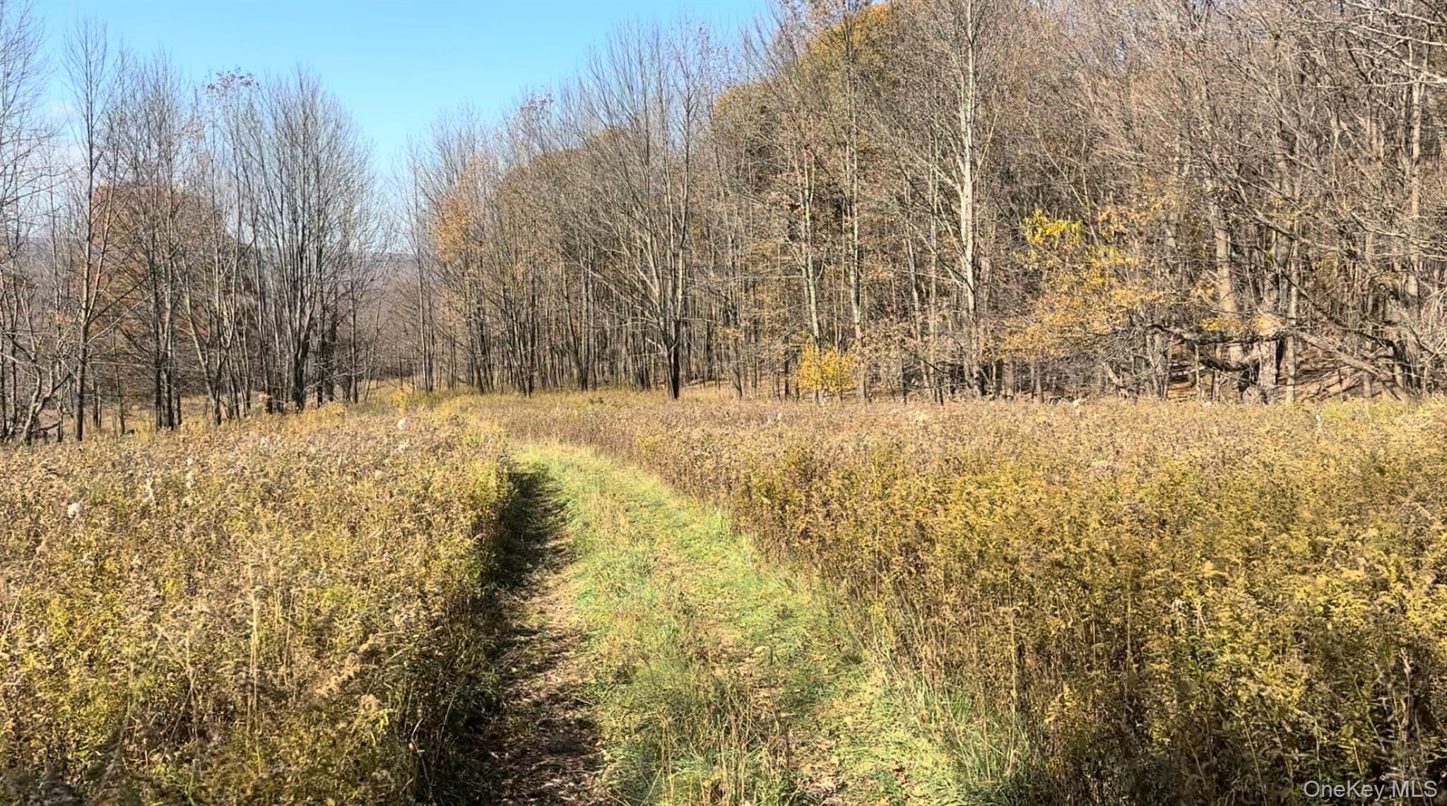 Chaffee Road – For Sale photo 4