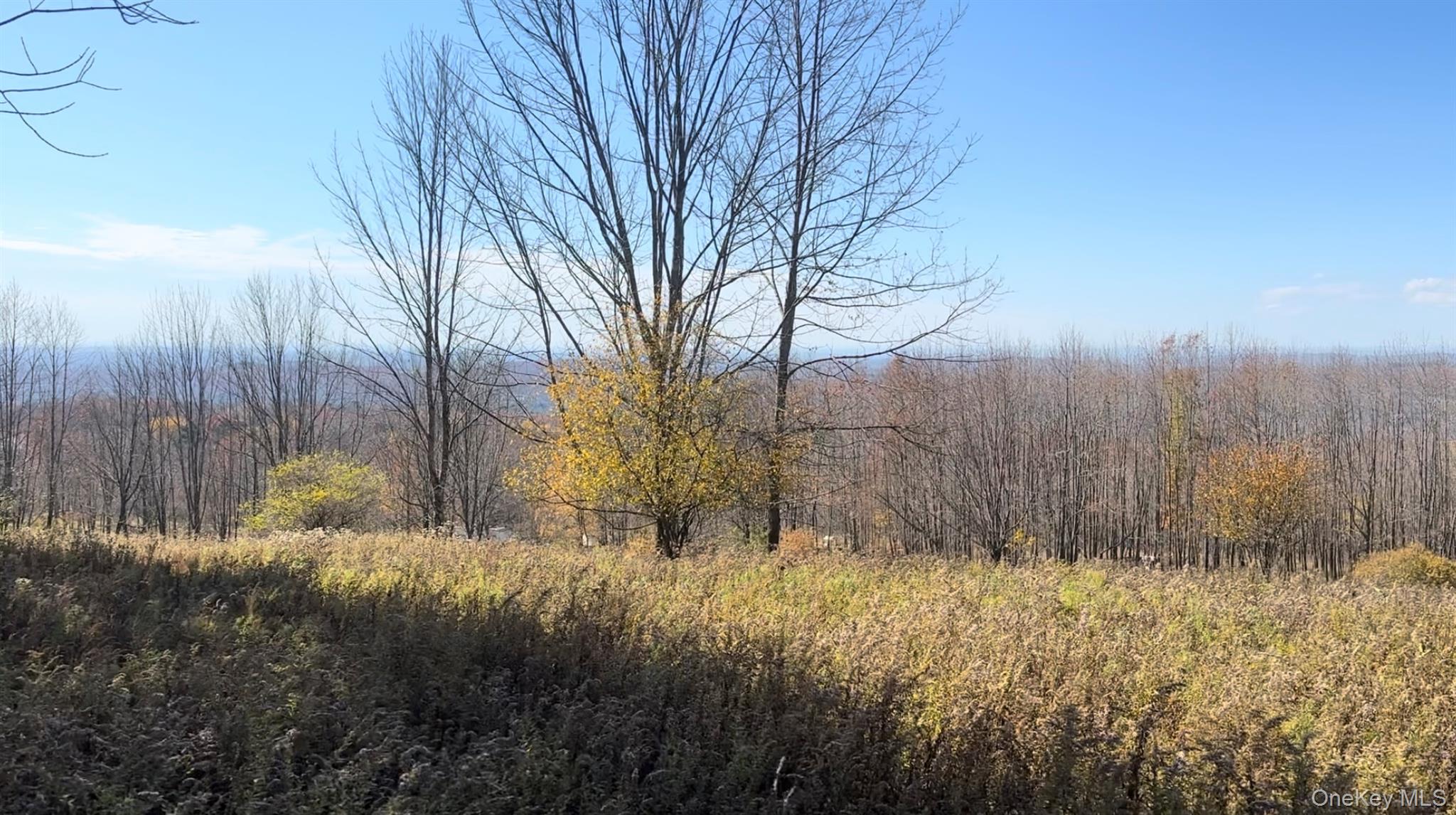 Chaffee Road – For Sale photo 2