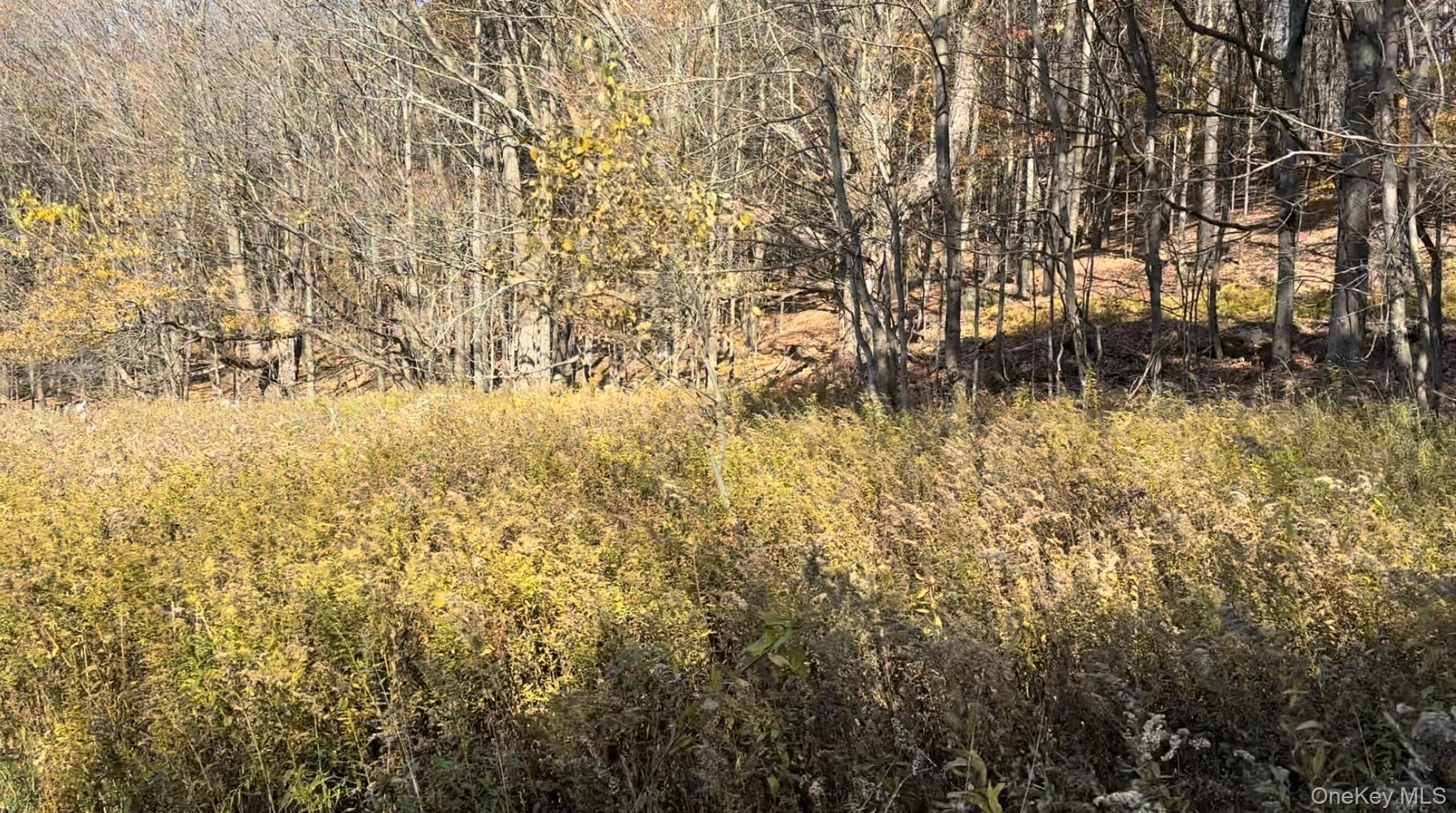 Chaffee Road – For Sale photo 5
