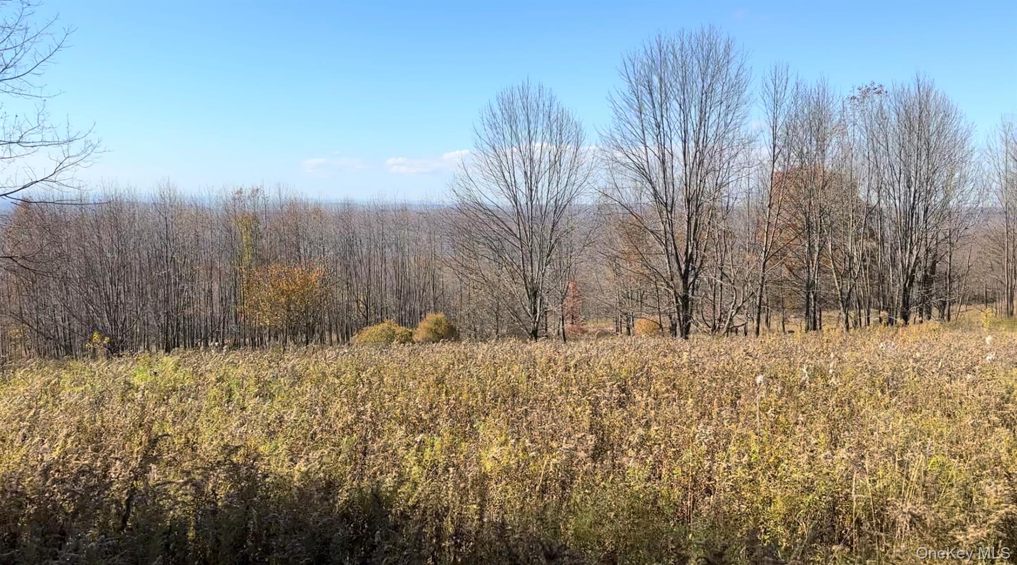 Chaffee Road – For Sale photo 3