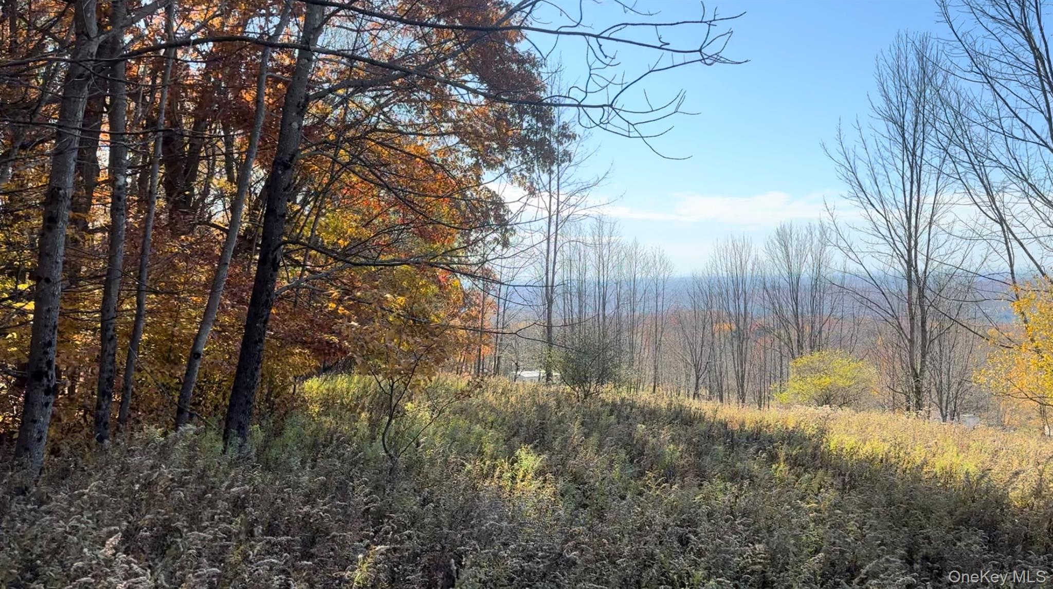 Chaffee Road – For Sale