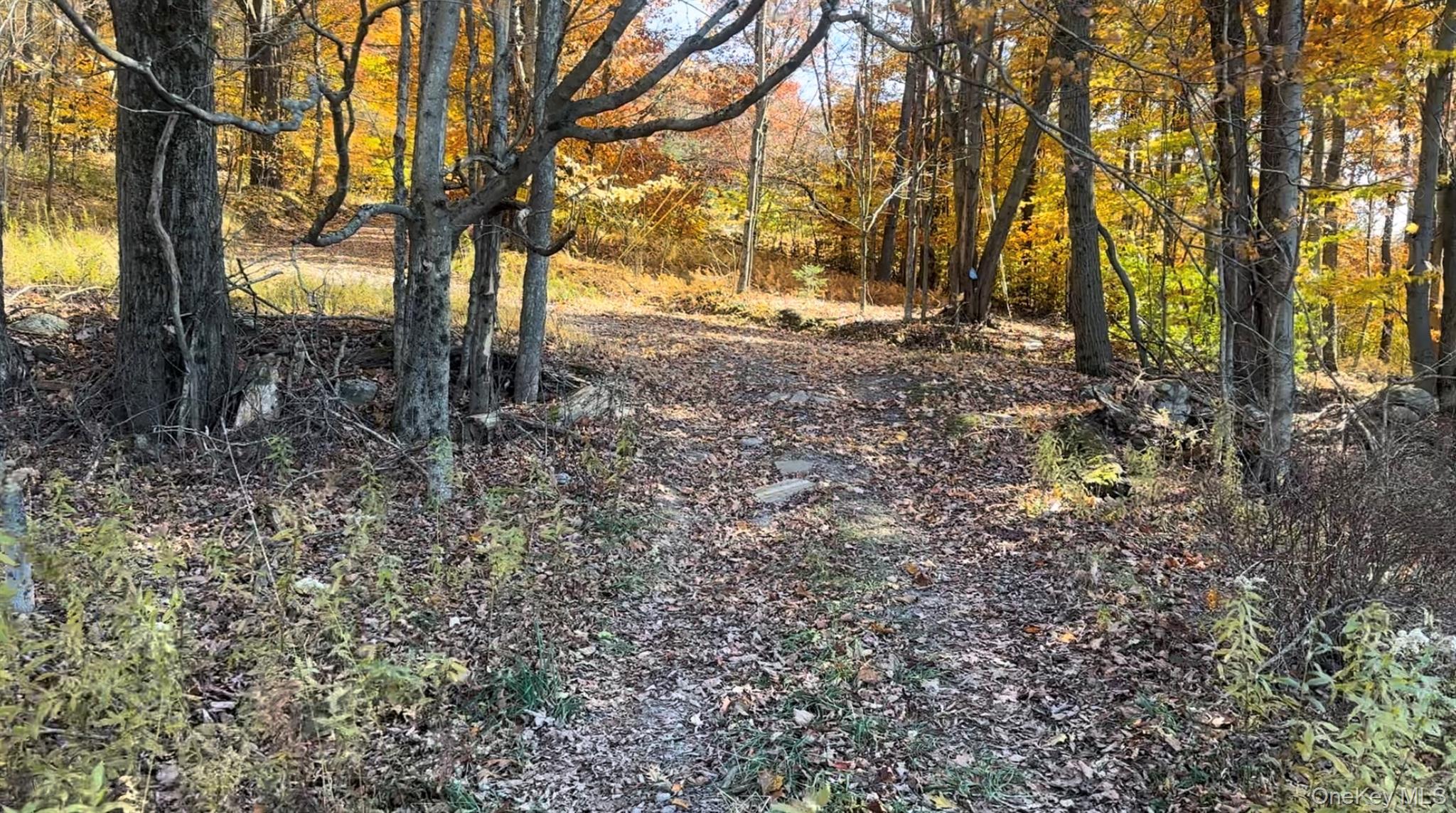 Chaffee Road – For Sale photo 7