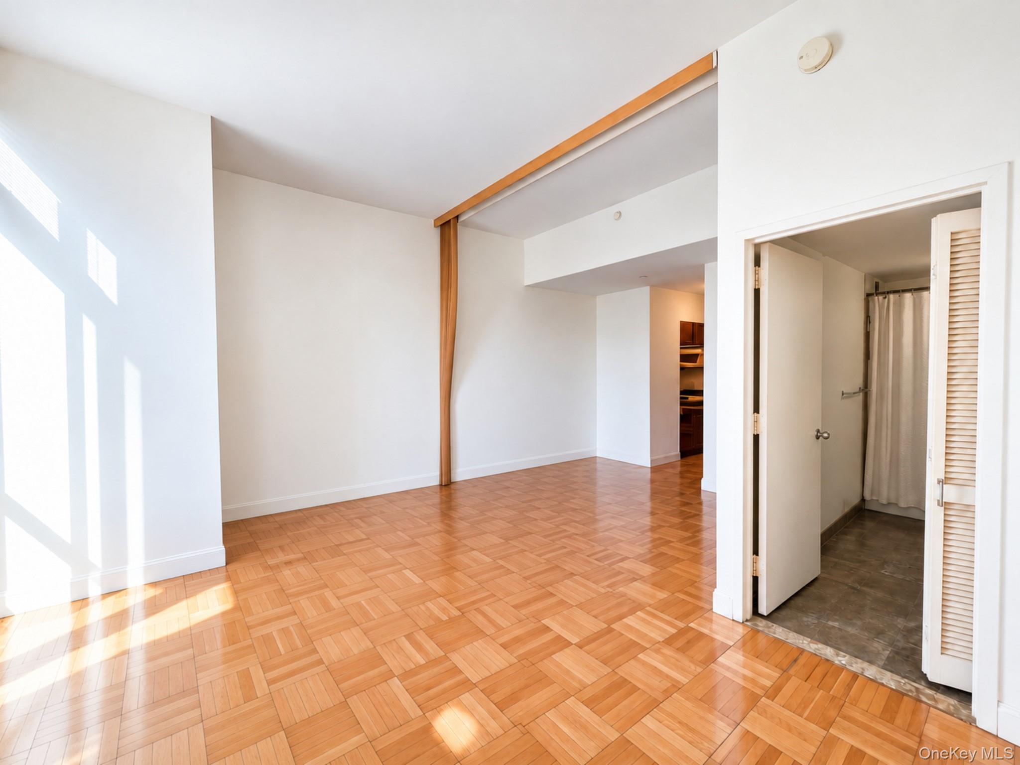 215 E E 96 Street E, Unit 30K photo 9