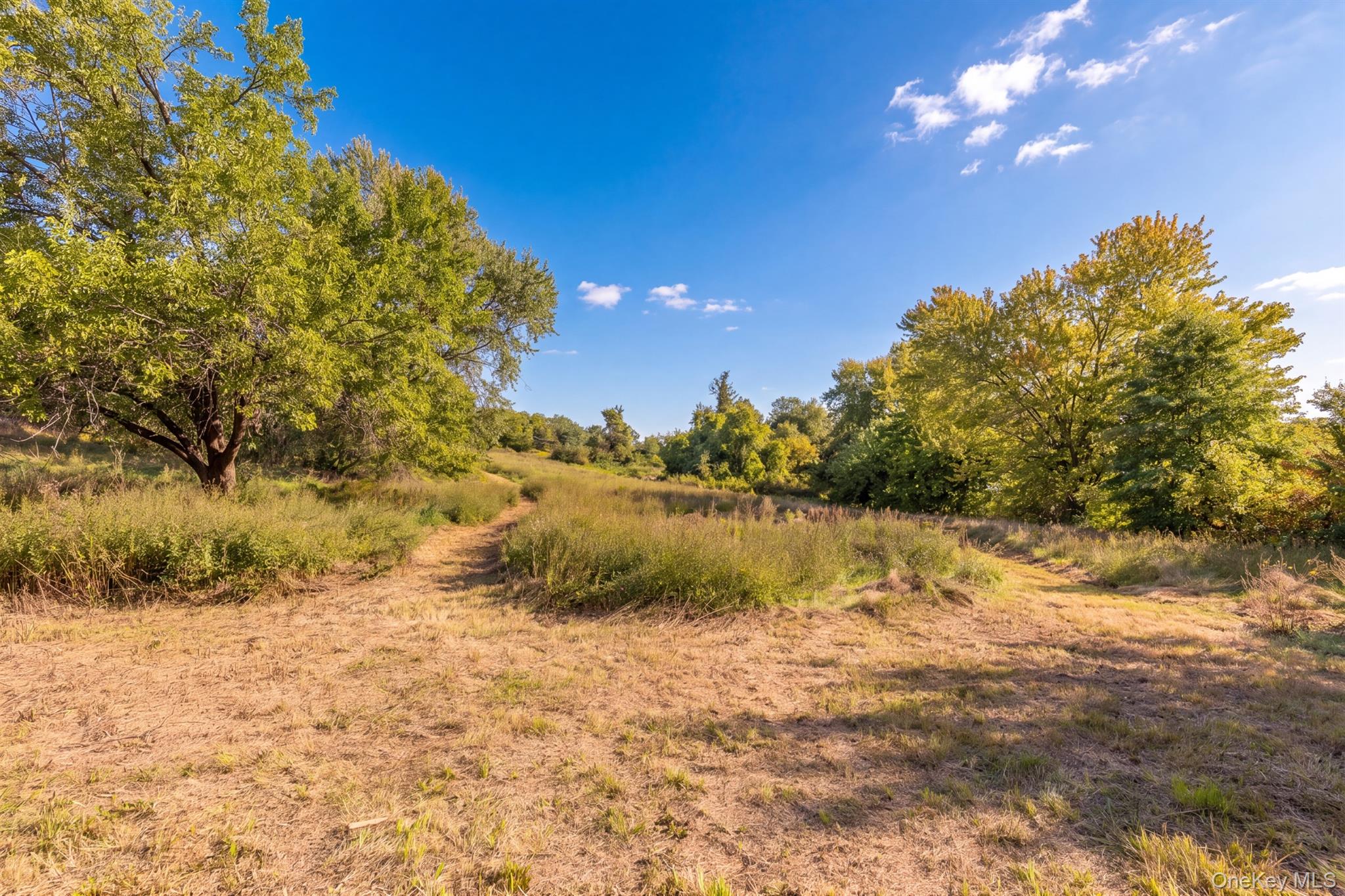 250 Sawkill Road – For Sale photo 41