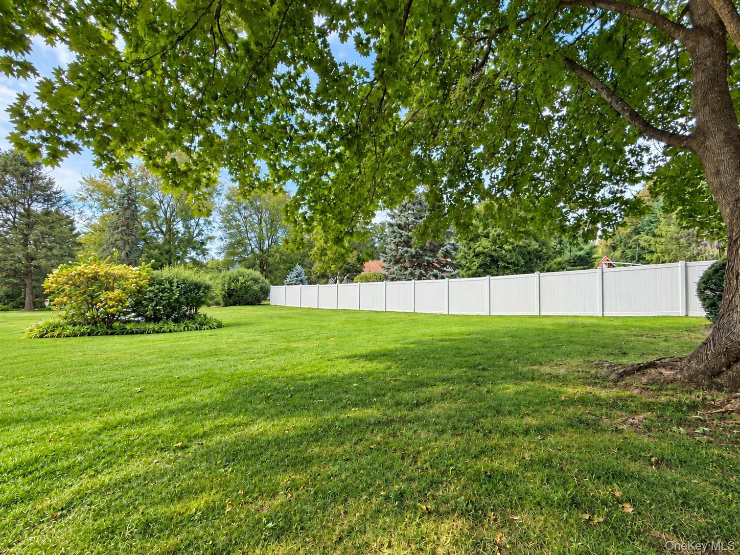 547 #A King Street – For Rent photo 14
