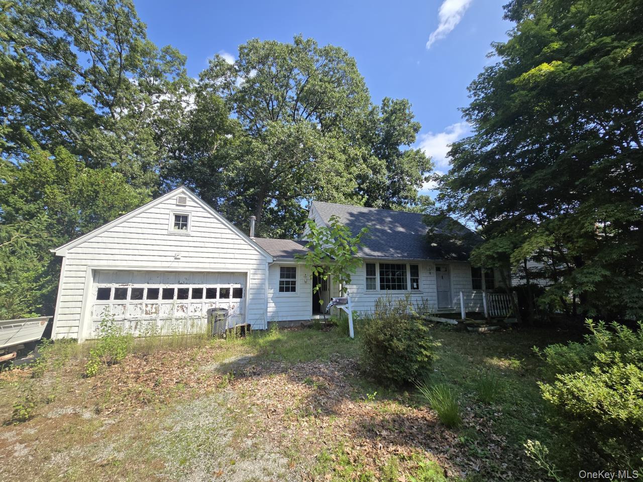 59 Cornell Street – For Sale photo 4