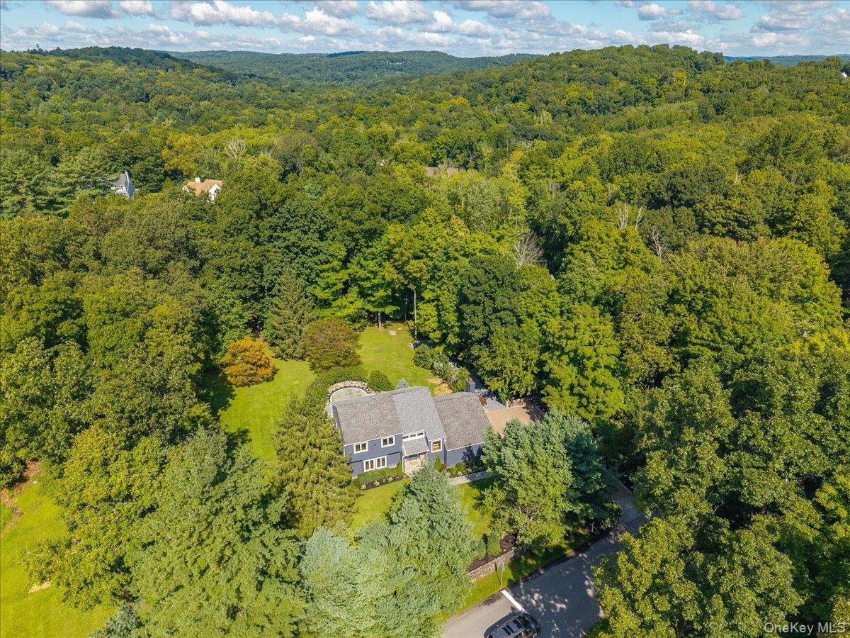 10 Tall Pines Lane – For Sale photo 34