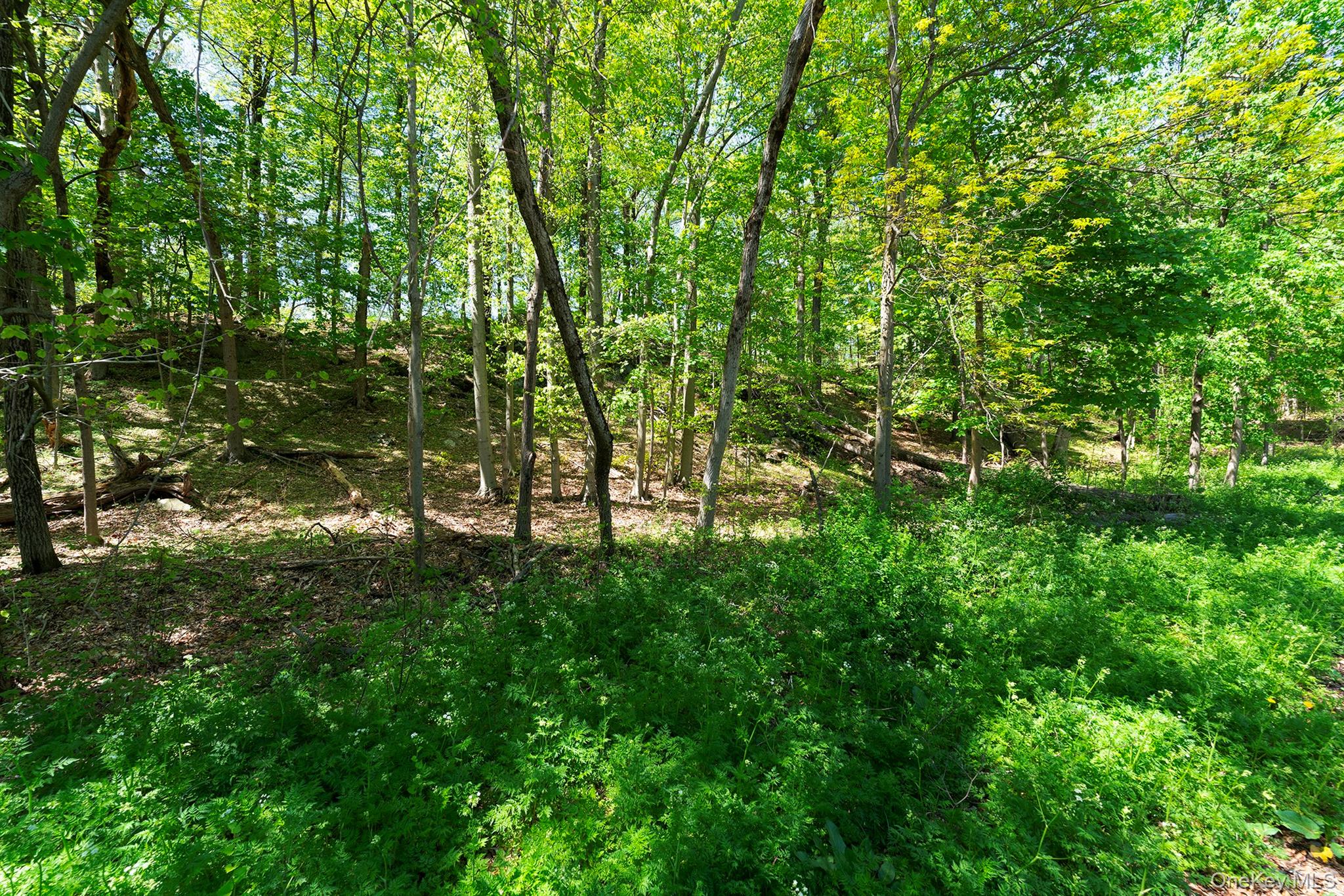 21 Van Dam Road – For Rent photo 25