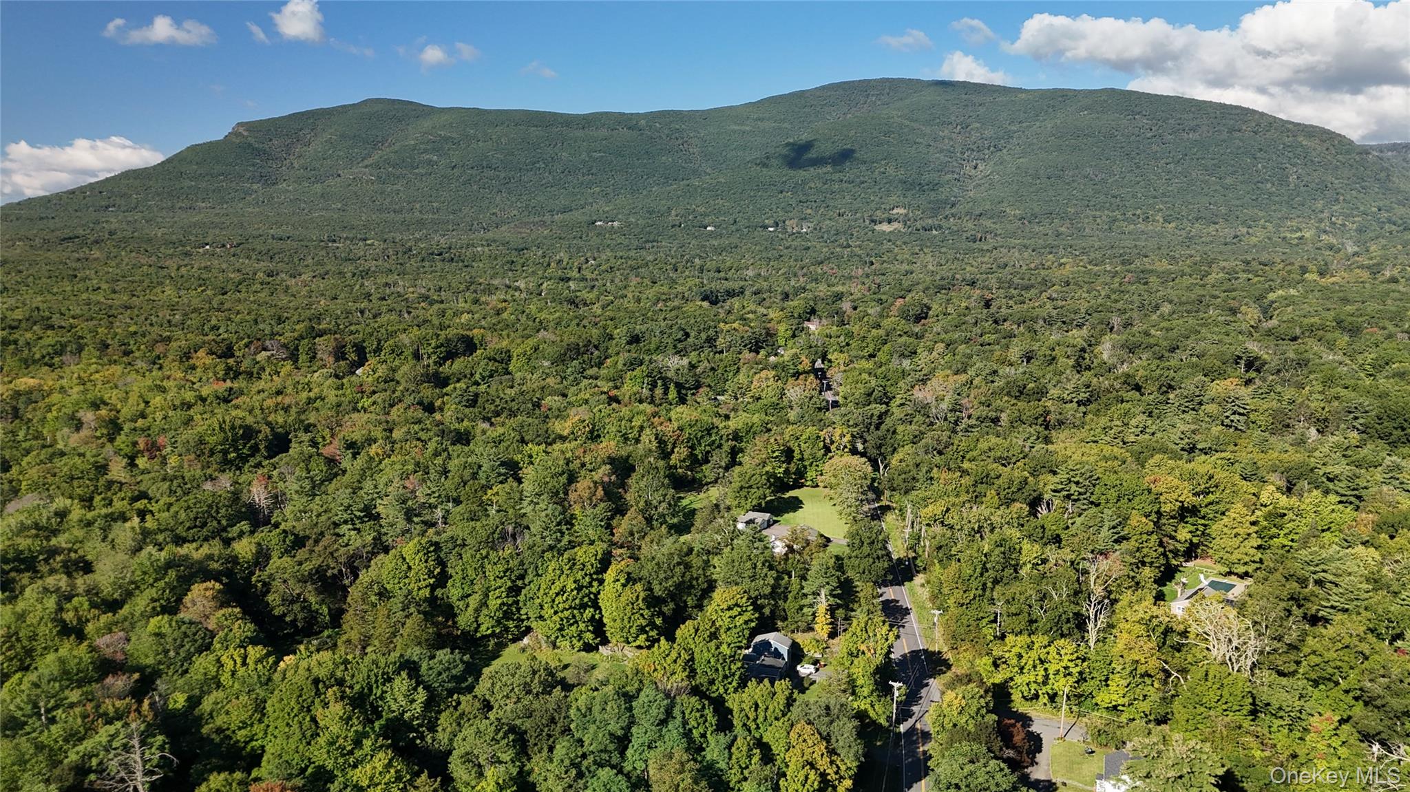 146 W Saugerties Road – For Sale photo 4