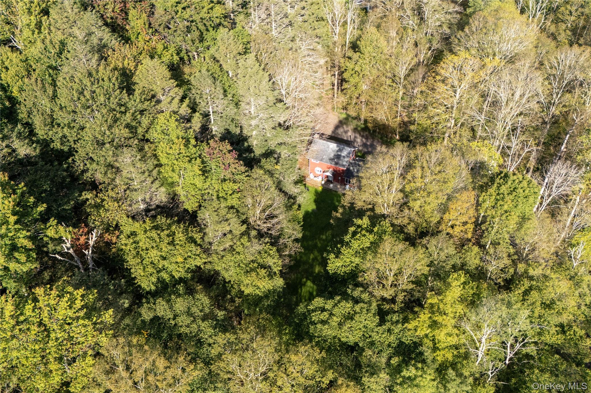 123 Maben Hollow Road – For Sale photo 25