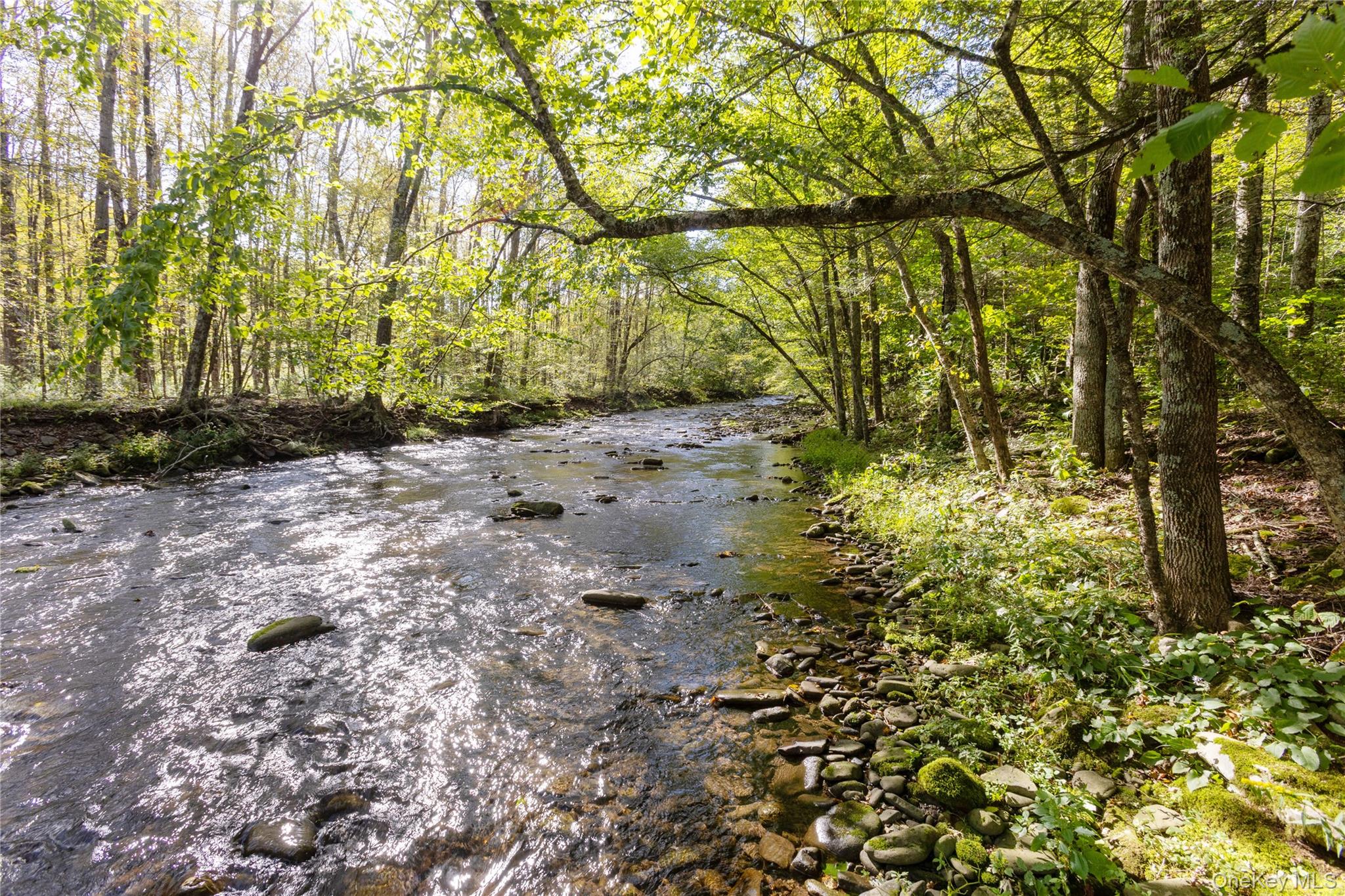 123 Maben Hollow Road – For Sale photo 14