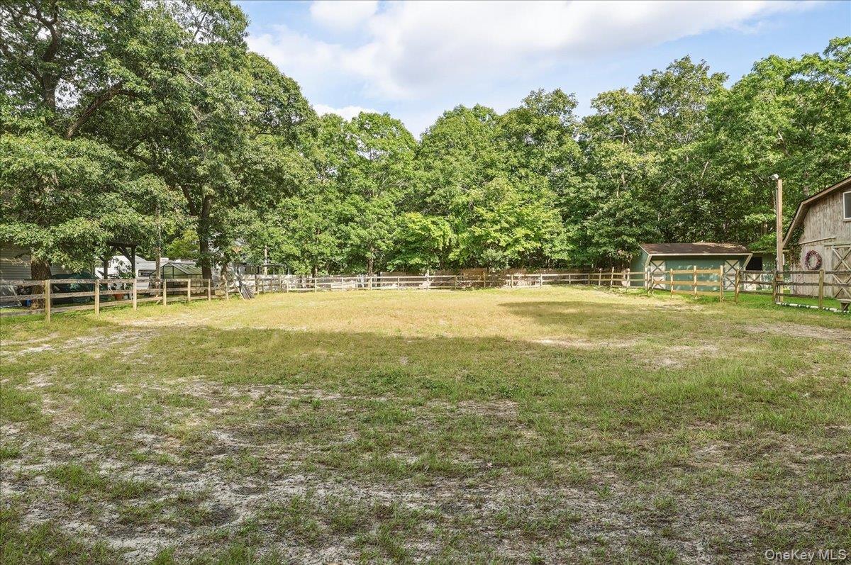6 Clifford Lane – For Sale photo 8