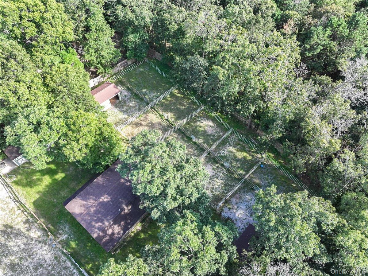 6 Clifford Lane – For Sale photo 40