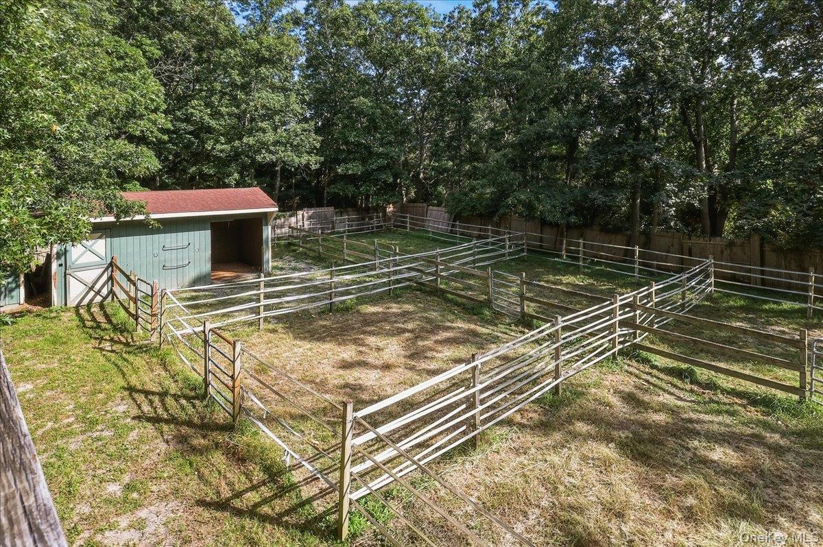 6 Clifford Lane – For Sale photo 18