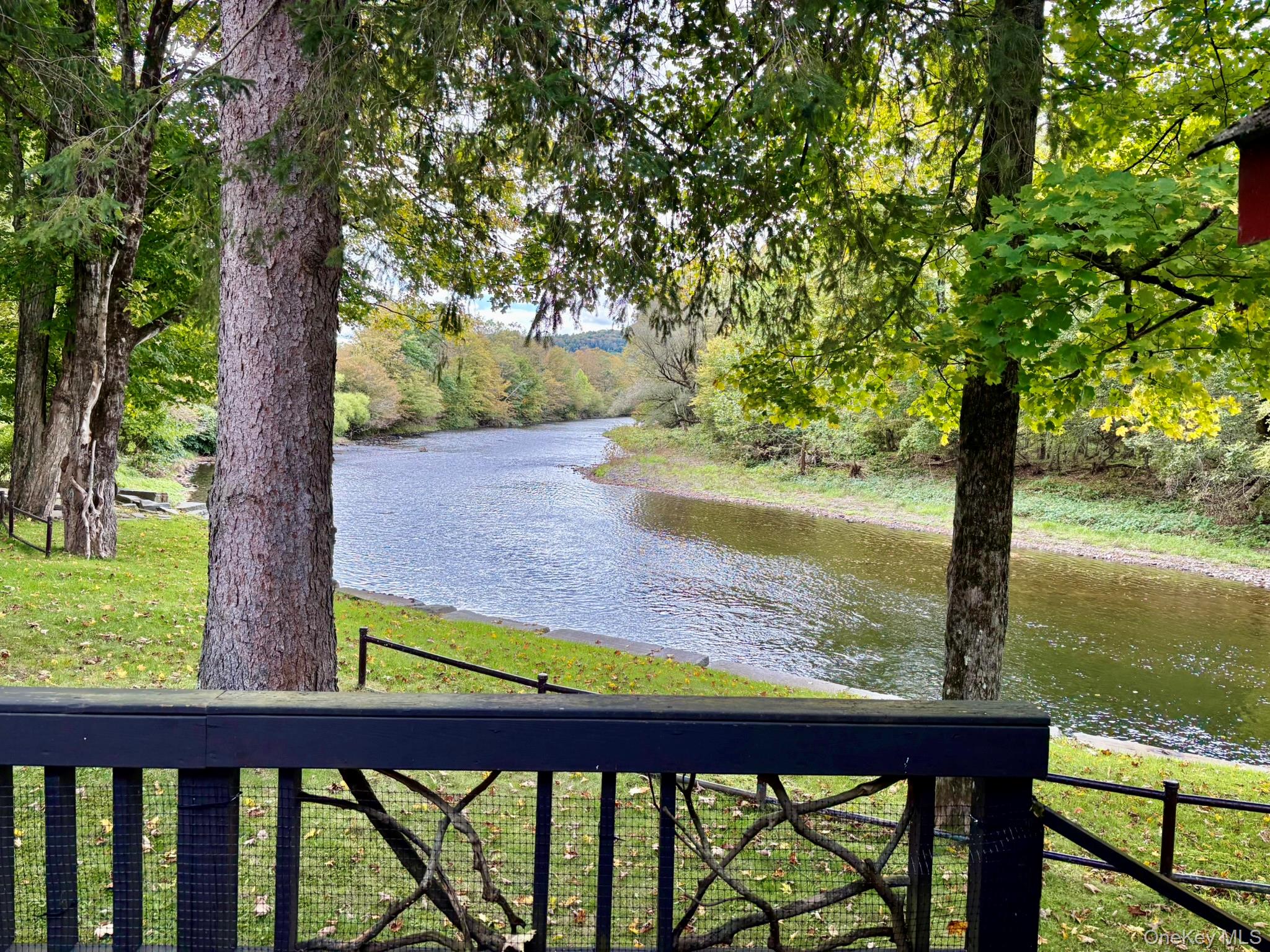945 Old Route 17 – For Sale photo 45
