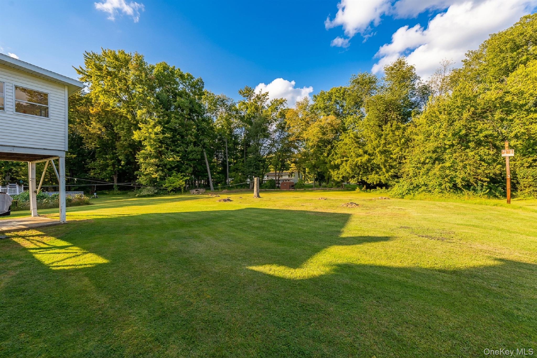 39 Jeanette Lane – For Sale photo 36