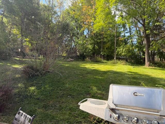 4 Marion Avenue – For Sale photo 47