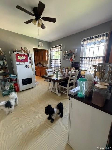 4 Marion Avenue – For Sale photo 35