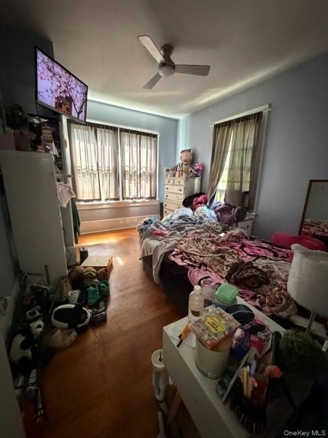4 Marion Avenue – For Sale photo 37
