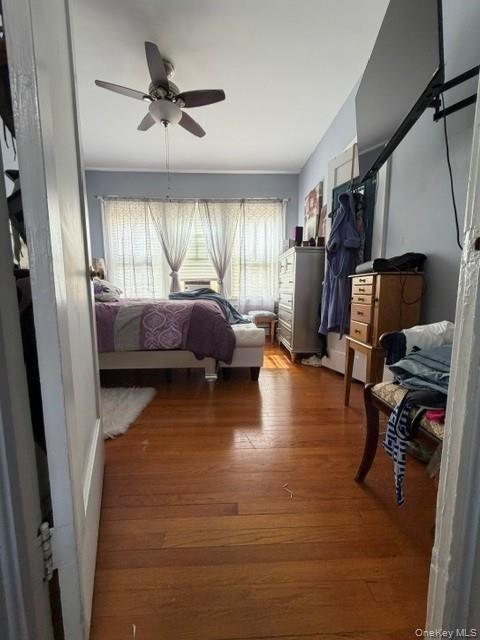 4 Marion Avenue – For Sale photo 13