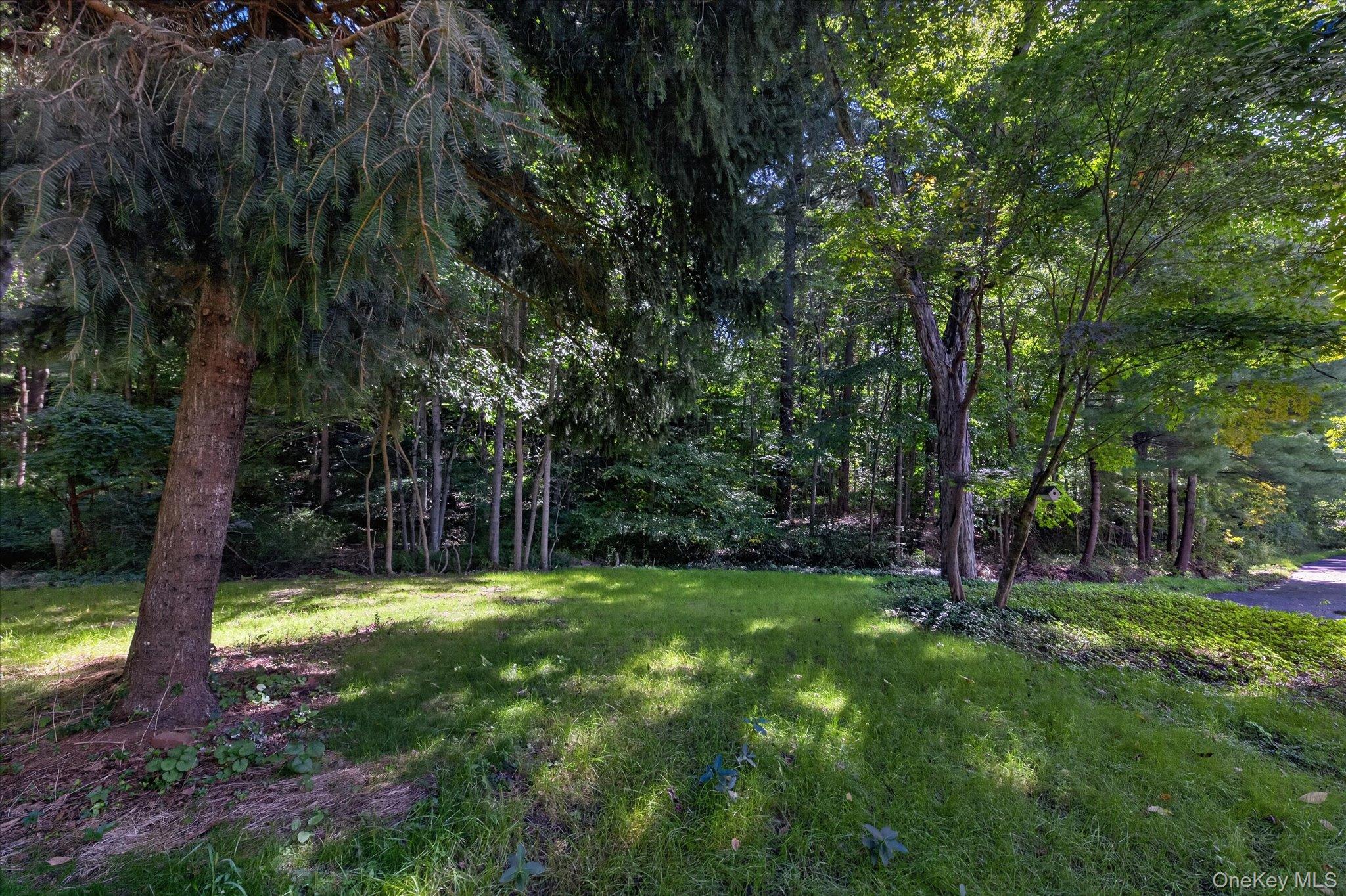 109 Pines Bridge Road – For Sale photo 39