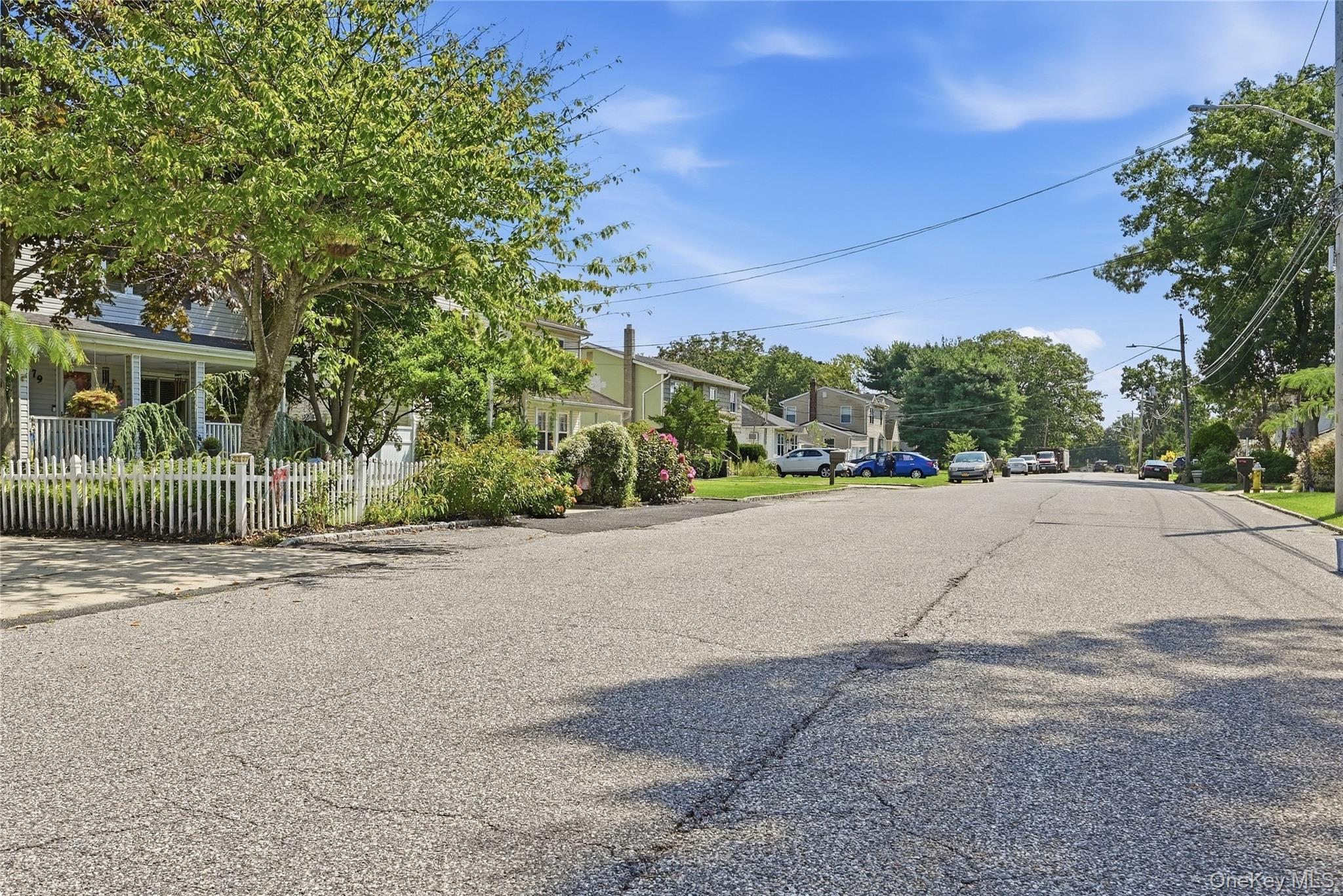 Coates Avenue – For Sale photo 3