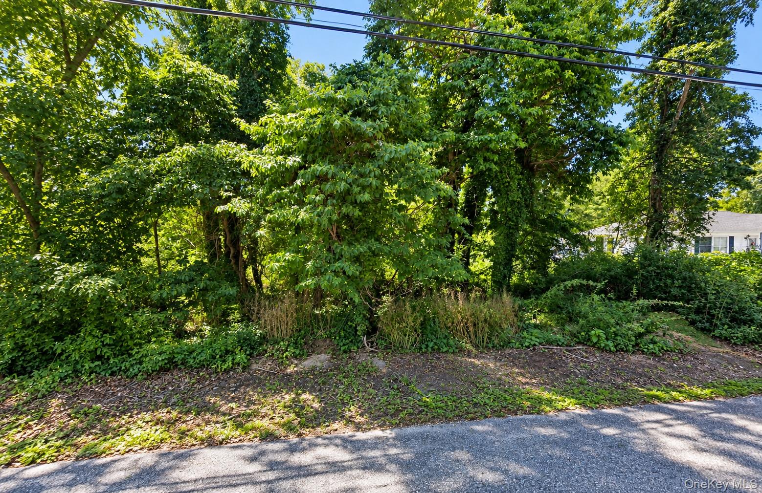 Coates Avenue – For Sale