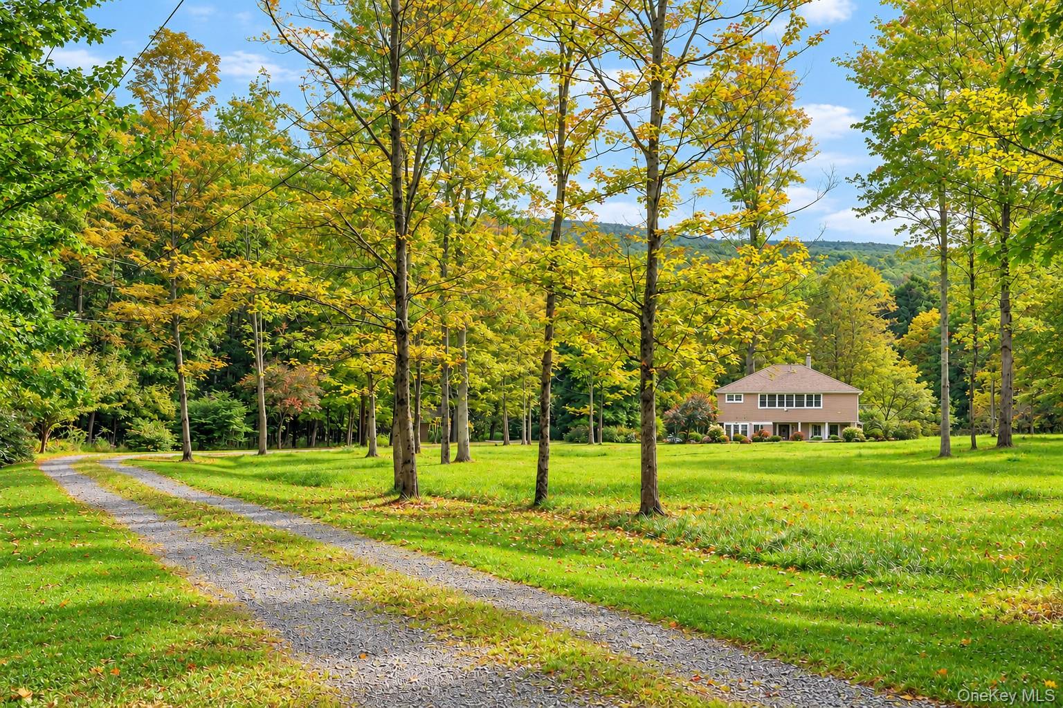 63 Knapp Hollow Lane – For Sale photo 26