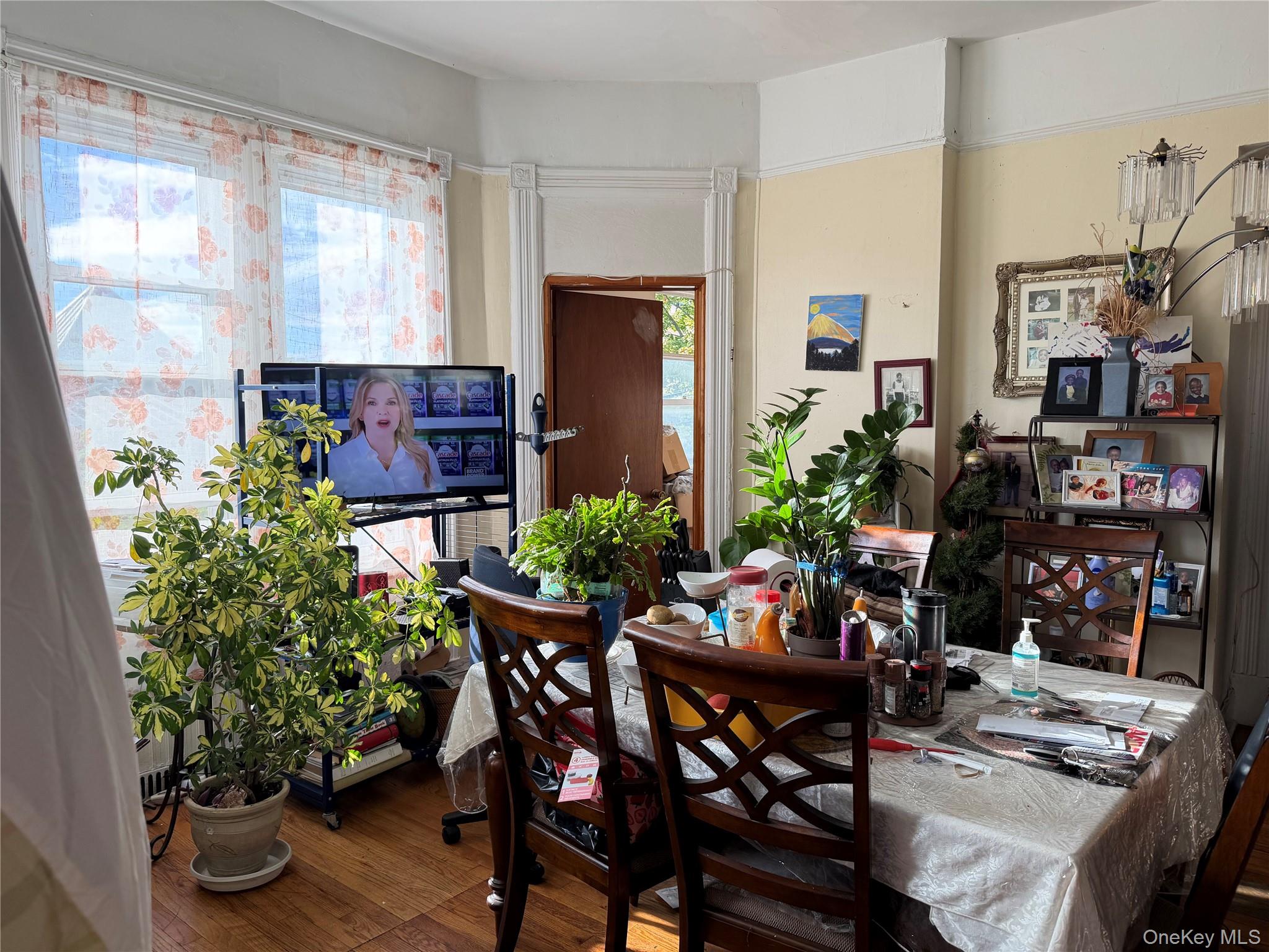 54 Elm Avenue – For Sale photo 6