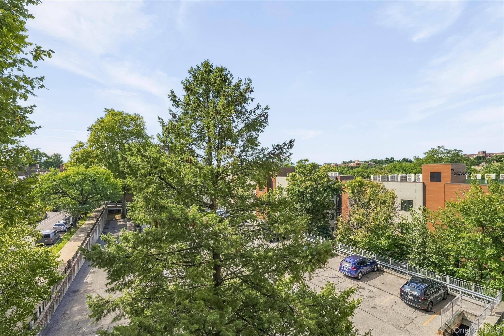 642 Locust Street, Unit 4H photo 27