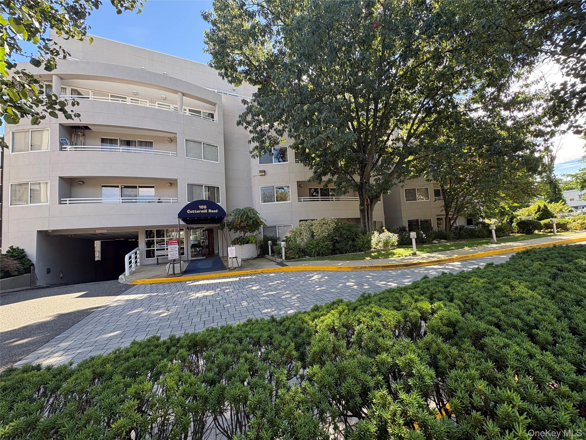 100 Cuttermill Road, Unit 3h photo 16