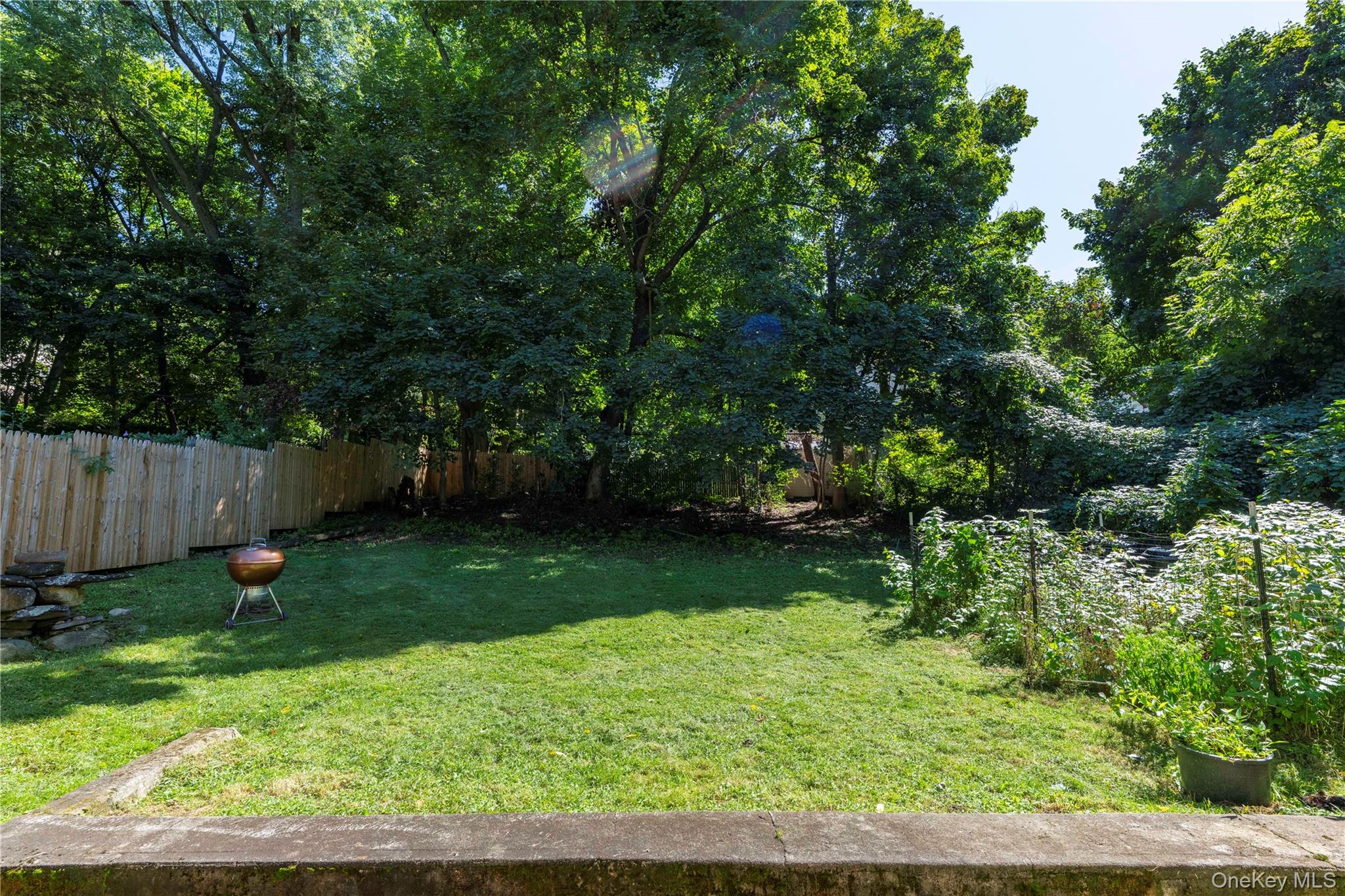 1419 Park Street – For Sale photo 26