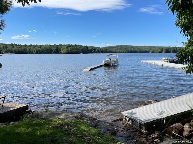 93 Starlight Drive – For Sale photo 4