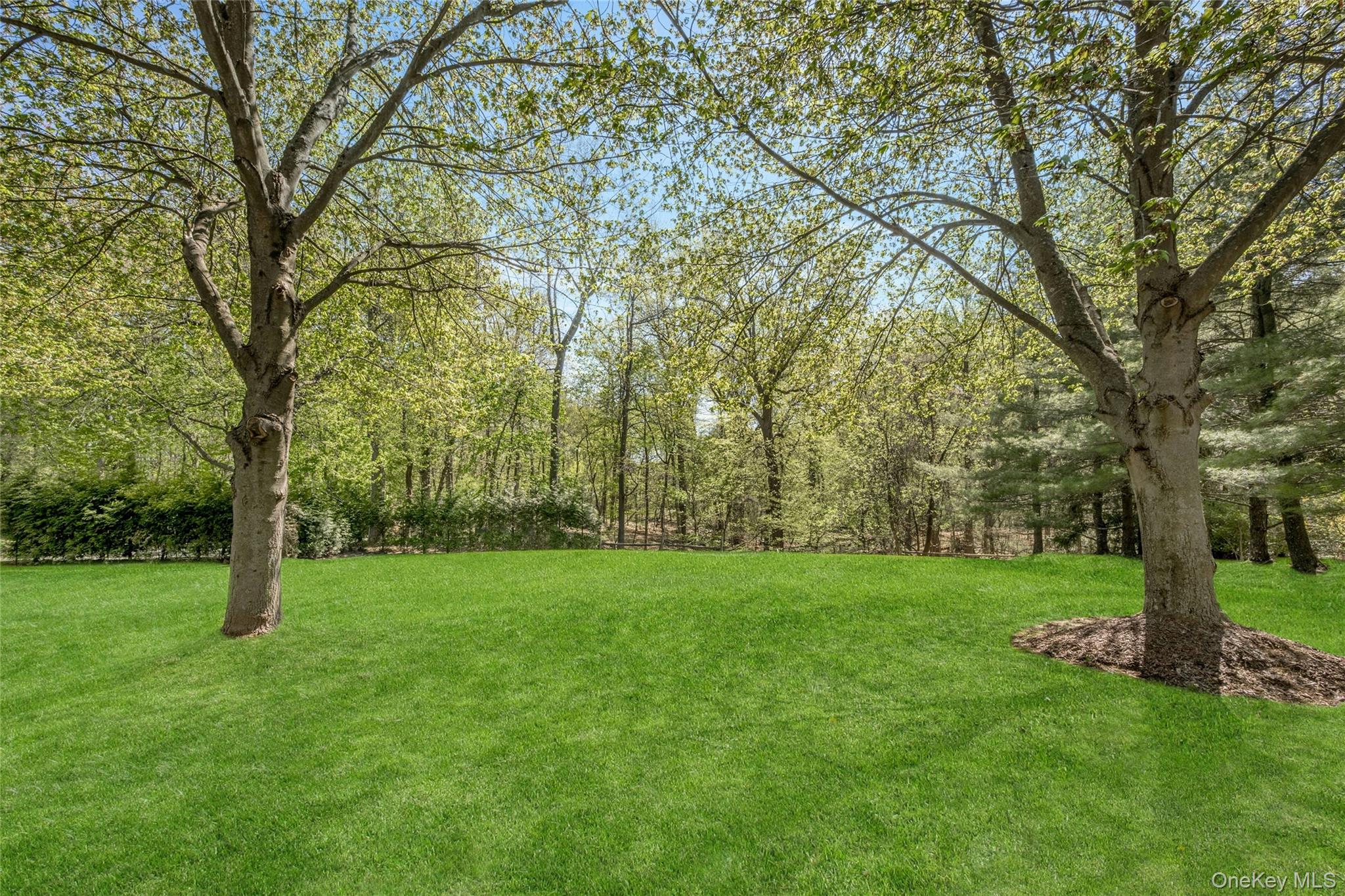 132-134 Euclid Avenue – For Sale photo 2