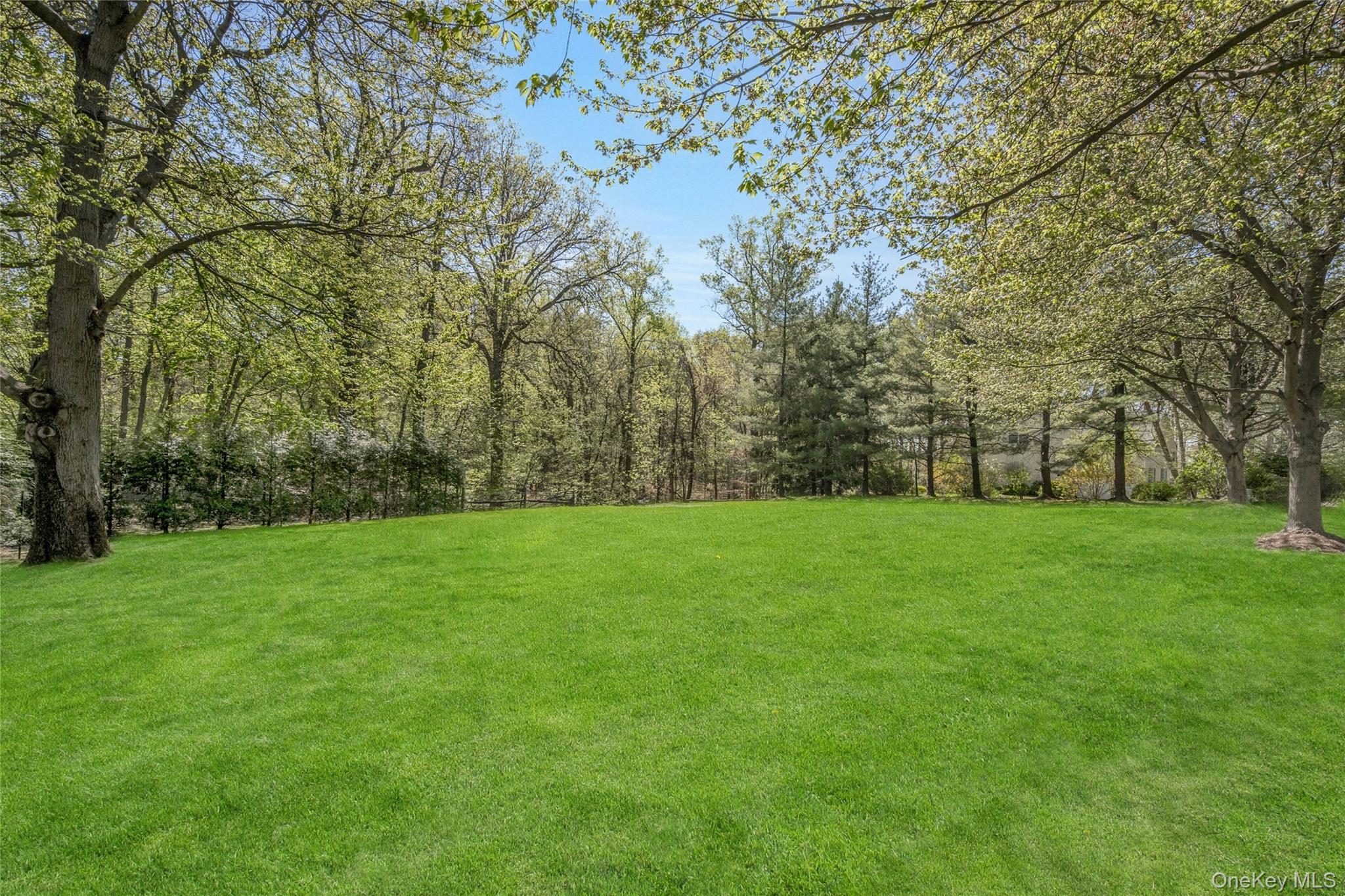 132-134 Euclid Avenue – For Sale photo 4