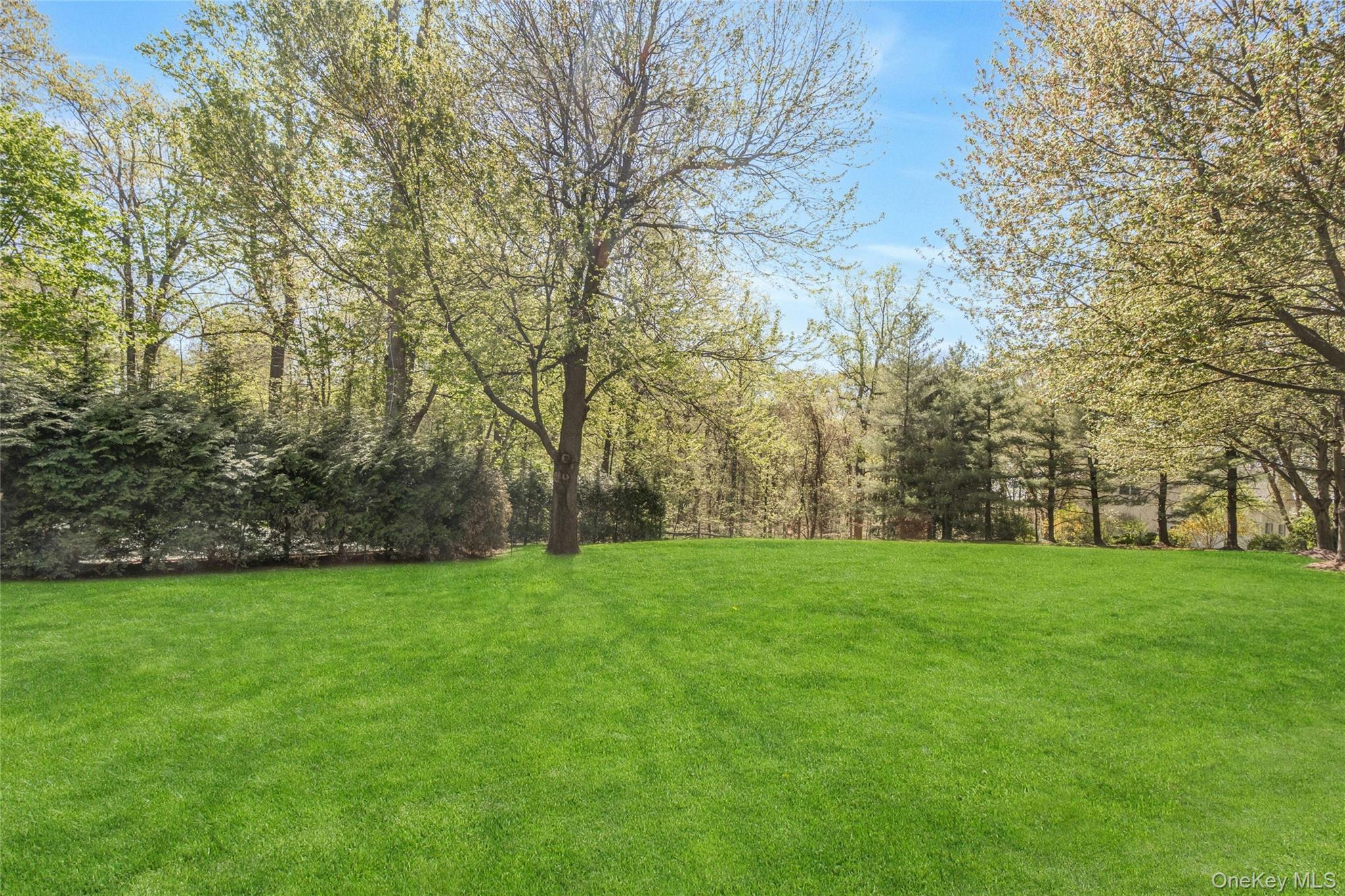 132-134 Euclid Avenue – For Sale photo 3