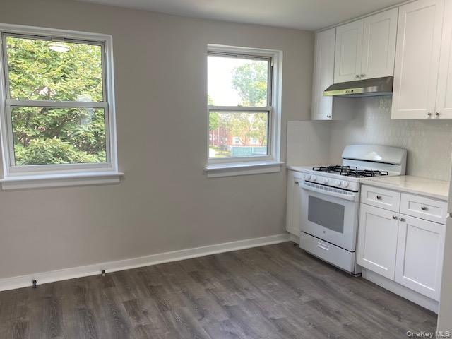 245-15 77th Crescent, Unit F-2 photo 4